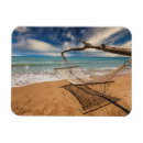 Search for hammock magnets Landscape