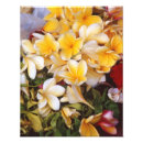 Search for frangipani flower art Summer
