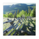 Search for fence tiles Weathered