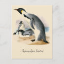 Search for penguin postcards Antique