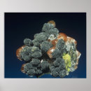 Search for calcium posters Calcite