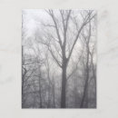Search for atmosphere vertical postcards Forest