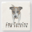 Search for terrier coasters Dog