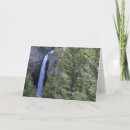 Search for yellowstone cards Photography