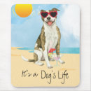 Search for pit mouse mats Apbt