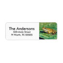 Search for lily pad return address labels Amphibian