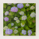 Search for lavender hydrangeas photography Floral