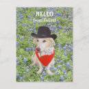 Search for from texas postcards San antonio