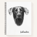 Search for labrador notebooks Cute
