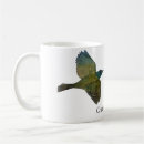Search for common mugs Bird