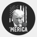 Search for red fireworks stickers United states of america