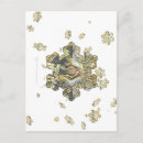 Search for shimmering postcards Blue