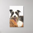 Search for waist up canvas prints Looking at camera