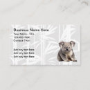 Search for chinese food business cards Asian