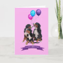 Search for bernese mountain dog birthday cards Animals