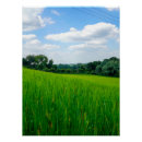 Search for countryside posters Green