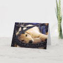 Search for golden retriever cards Puppy