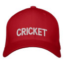Search for cricket fan team