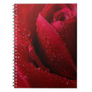 Search for red rose notebooks Blossom