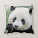 Search for giant panda cushions Nature