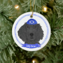 Search for flat coated retriever christmas tree decorations Black