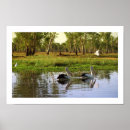 Search for australian landscape posters Wildlife