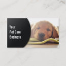 Search for down business cards Dog