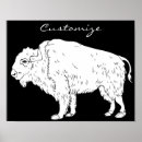Search for white buffalo posters Animal