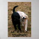 Search for black lab retriever dog posters Puppy