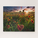 Search for indian puzzles Nature