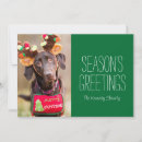 Search for camera image cards Cheerful