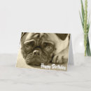 Search for pug dog birthday cards Puppies