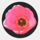 Search for digital photo stickers Macro