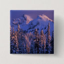 Search for winter trees badges Forest