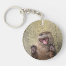 Search for cute otter key rings Nature
