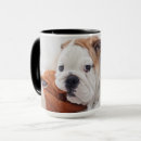 Search for shot mugs Puppy