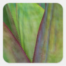 Search for growth stickers Colourful