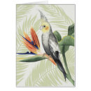 Search for colorful leaves postcards Tropical