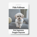 Search for doggy daycare Pet