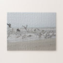 Search for seagull Travel