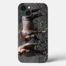 Search for stallion cases Horses