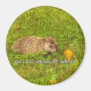 Search for days of the week magnets Weeks