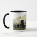 Search for zealand mugs Black