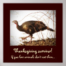 Search for vegetarian posters Animals