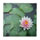Search for lily pad tiles Lotus