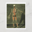 Search for conditioning postcards Anatomy