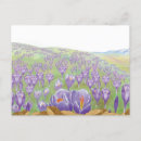 Search for spring crocus postcards Bloom
