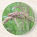 Search for weed coasters Summer