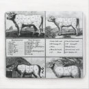 Search for pork electronics Meat