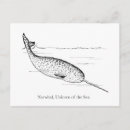 Search for narwhals postcards Ocean